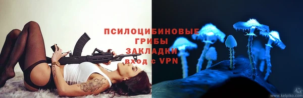 ПСИЛОЦИБИНОВЫЕ ГРИБЫ Абинск