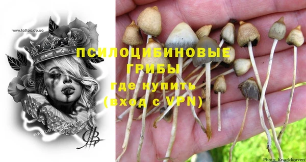 мет Абаза
