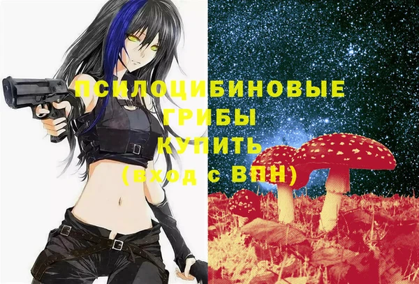 ПСИЛОЦИБИНОВЫЕ ГРИБЫ Абинск