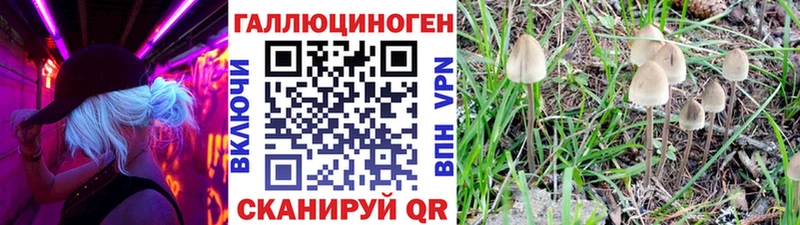 купить закладку  Отрадное  кракен рабочий сайт  Псилоцибиновые грибы Psilocybine cubensis 